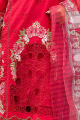 Zehraafreen