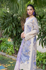 Shehrbano